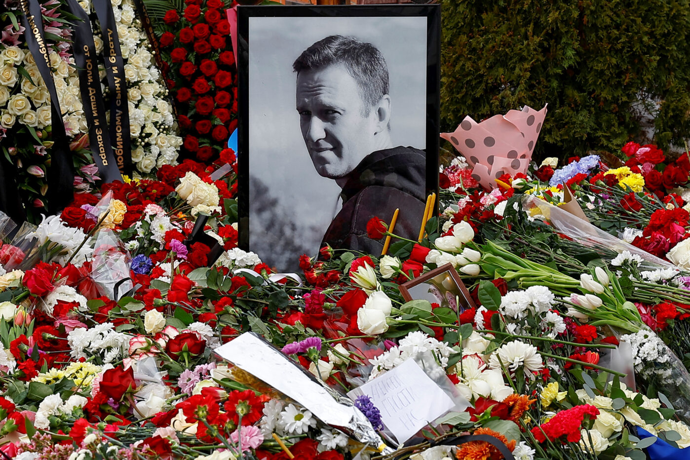 Фото Алексея Навального на&nbsp;на&nbsp;его могиле на&nbsp;следующий день после похорон на&nbsp;Борисовском кладбище в&nbsp;Москве