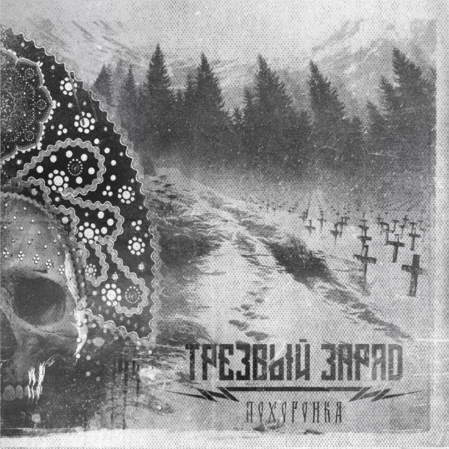 Основателя группы «Трезвый Заряд», певшей о&nbsp;«могилизации», оштрафовали за&nbsp;размещение песен на&nbsp;Apple Music